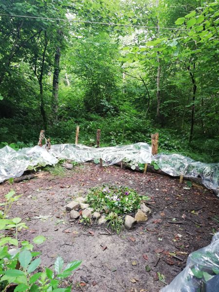 Waldsofa